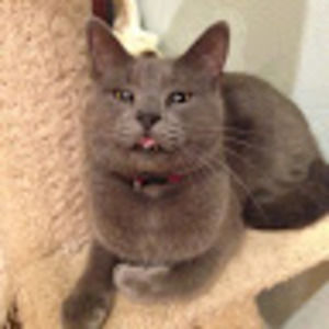 Meet your Posher, Luke